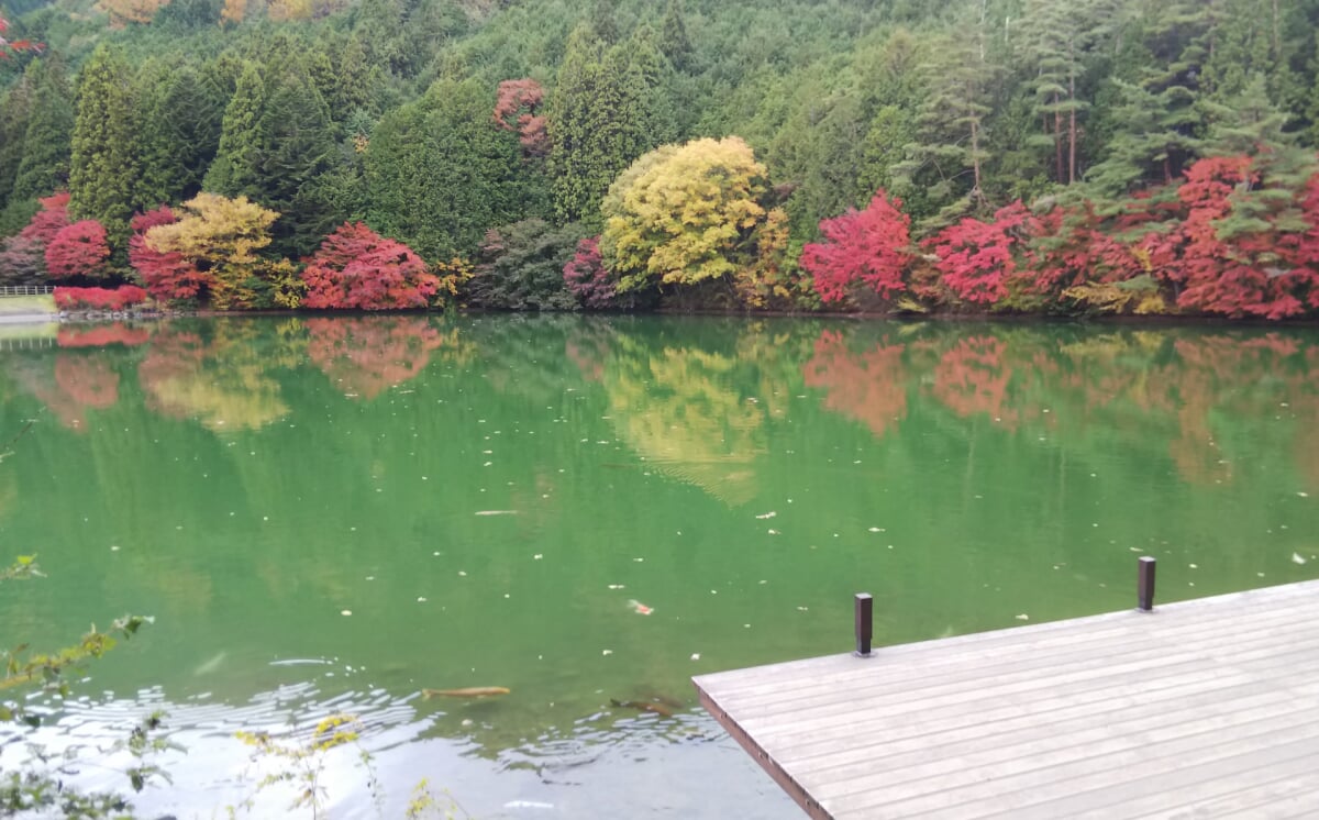 エコパ伊奈ヶ湖 伊奈ヶ湖の写真2