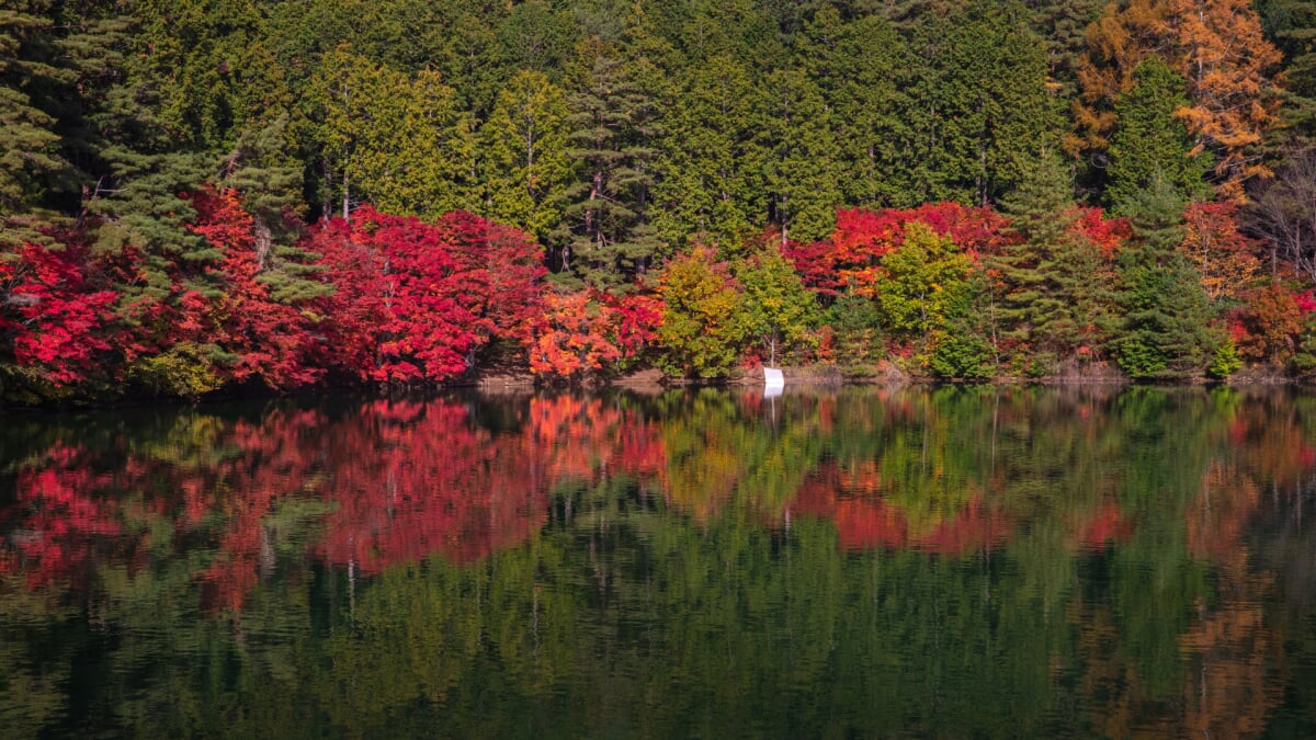 エコパ伊奈ヶ湖 伊奈ヶ湖の写真3