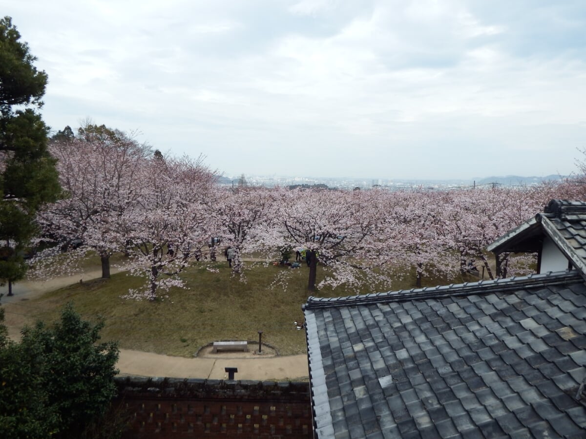 旧広瀬邸の写真4