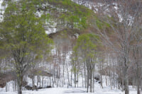 雨飾高原キャンプ場
