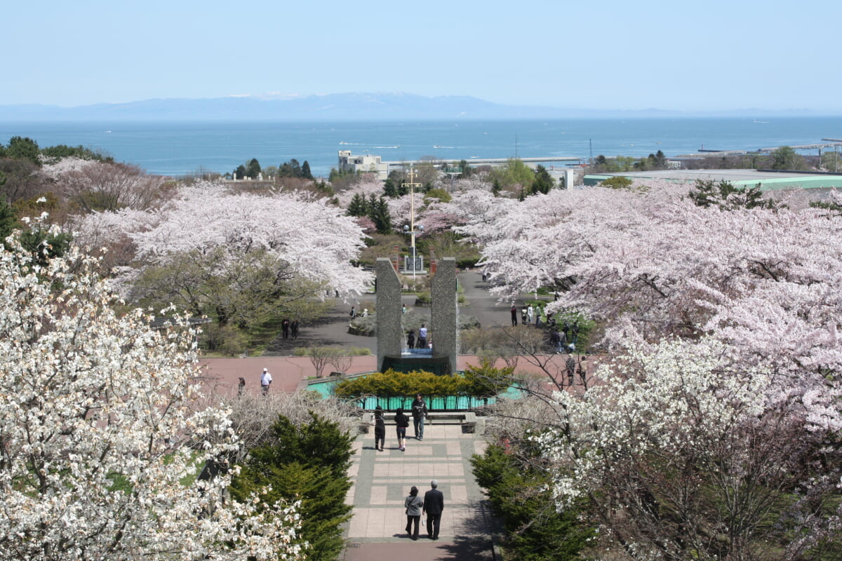 オニウシ公園の写真1