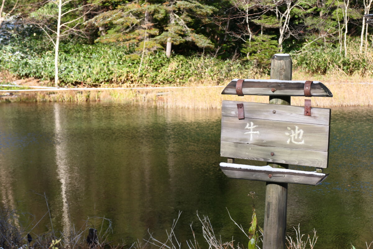 牛池の写真1
