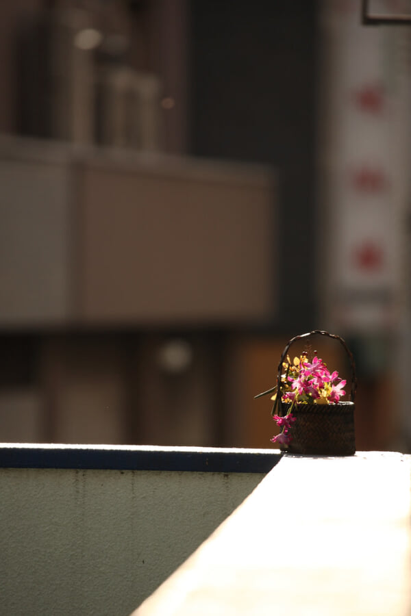 錦華公園の写真1