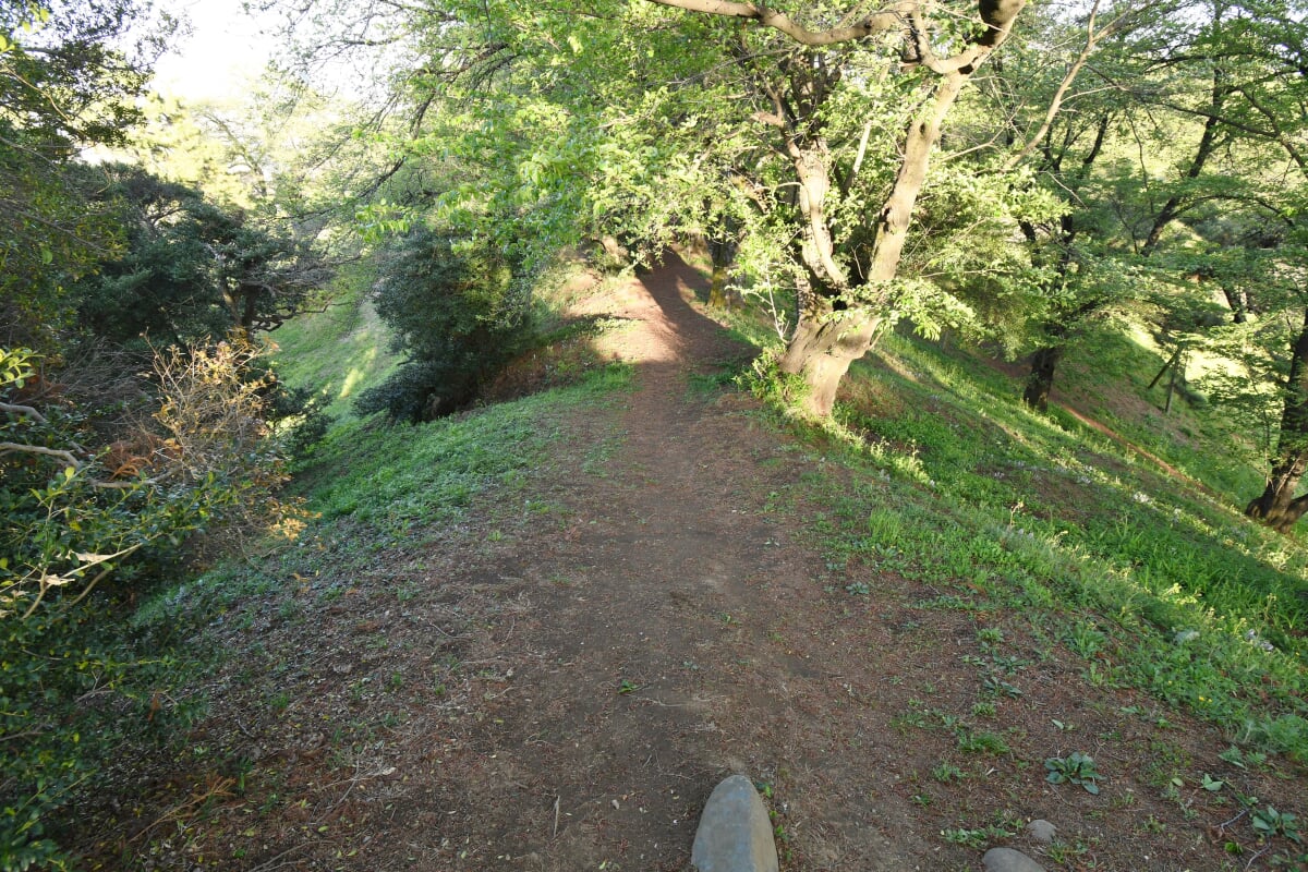 七輿山古墳の写真2