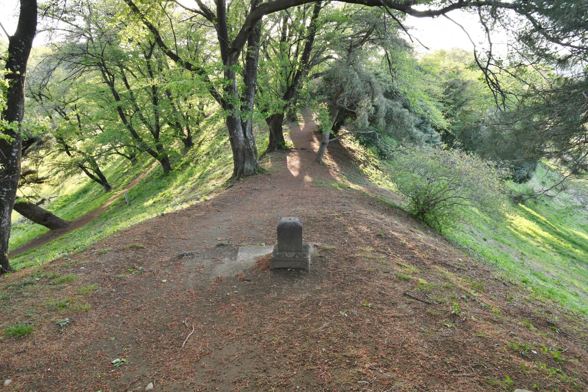 七輿山古墳の写真3