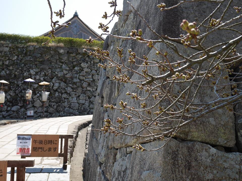篠山城跡の写真2