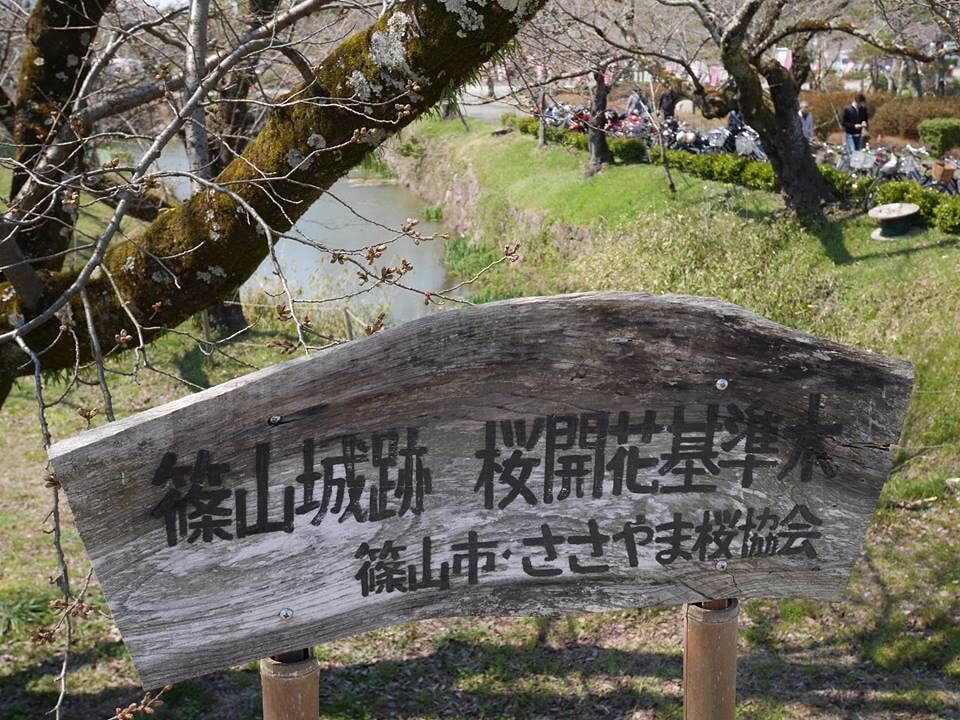 篠山城跡の写真1