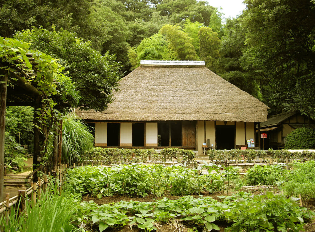 岡本公園民家園の写真1
