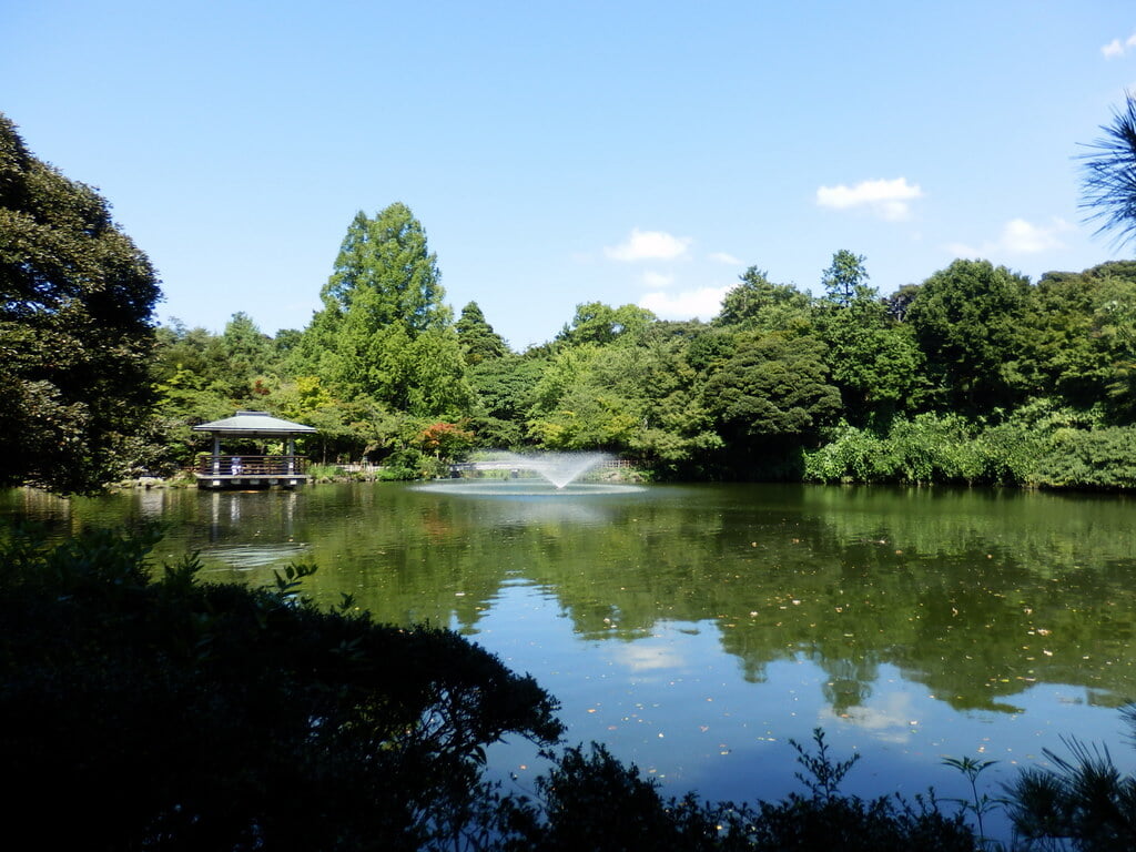 高岡古城公園の写真9
