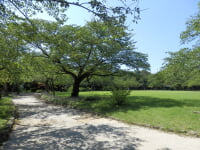 高岡古城公園