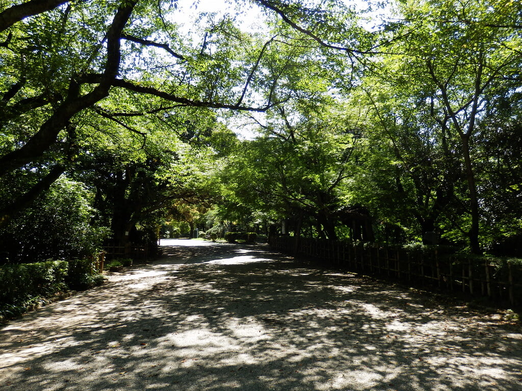 高岡古城公園の写真10