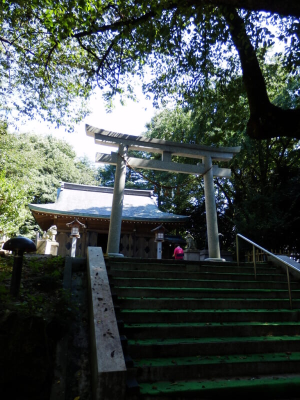 高岡古城公園の写真13