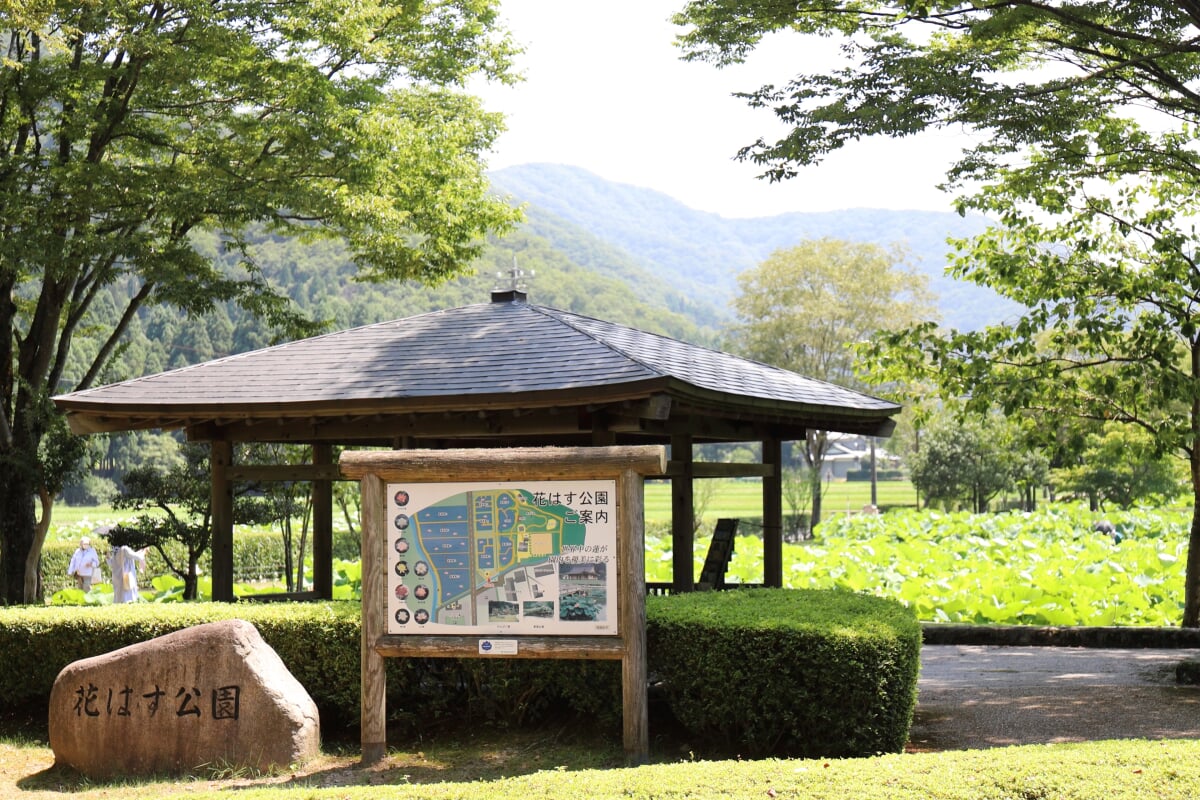 花はす公園の写真1