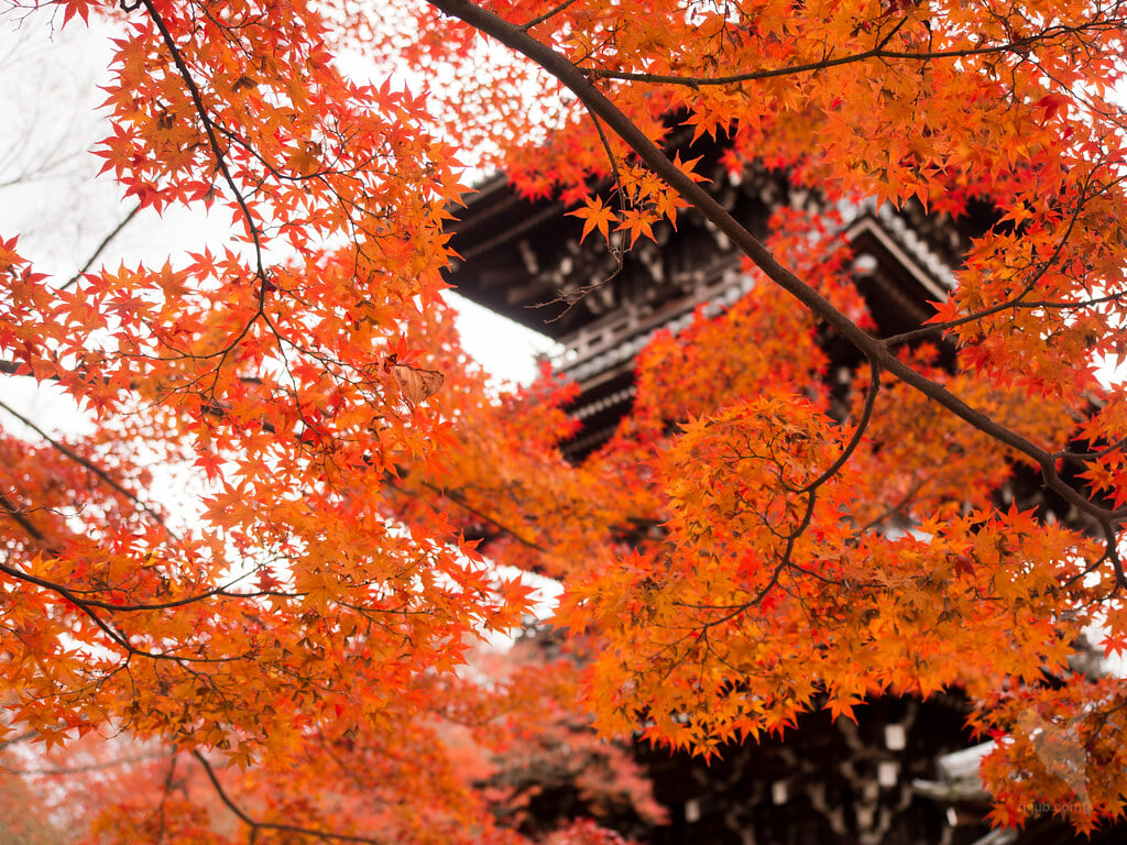 真如堂の写真10