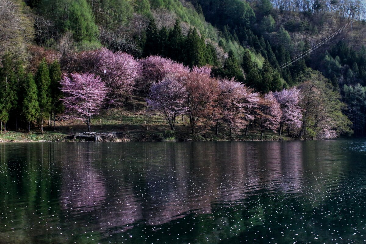 中綱湖の写真10