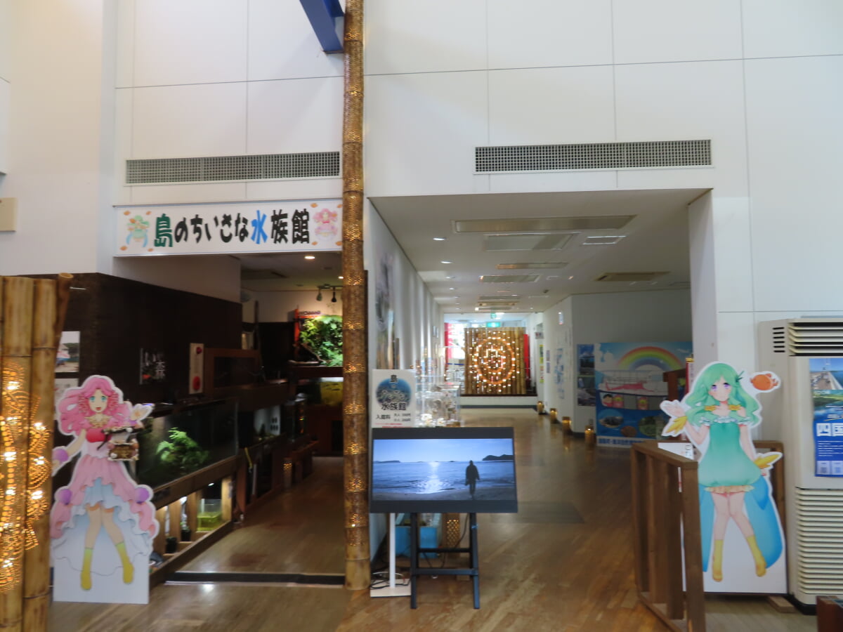 海洋自然博物館 マリンジャムの写真1