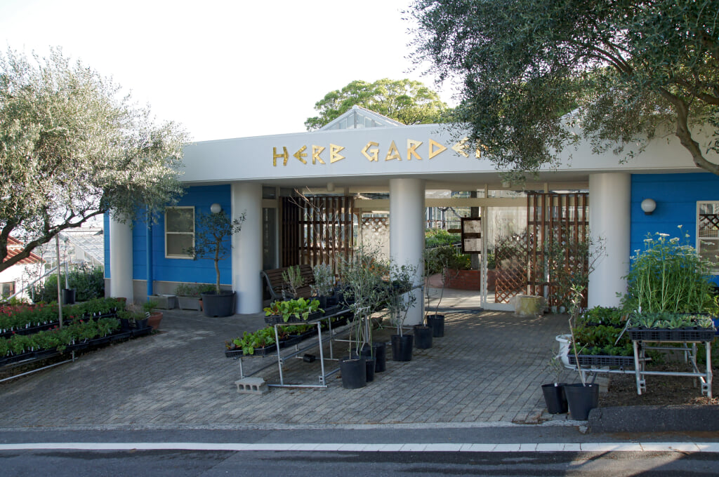 道の駅 小豆島オリーブ公園の写真6