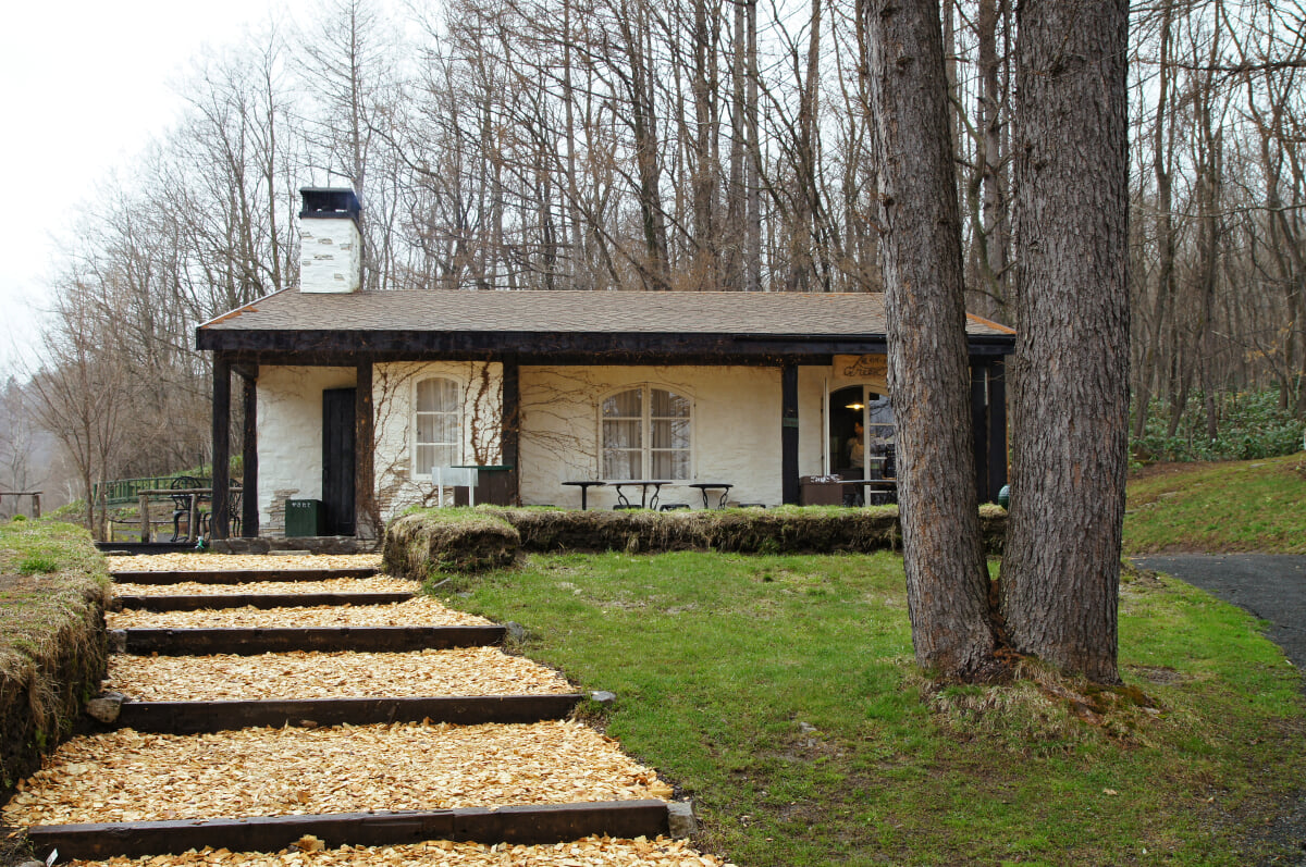 風のガーデンの写真3