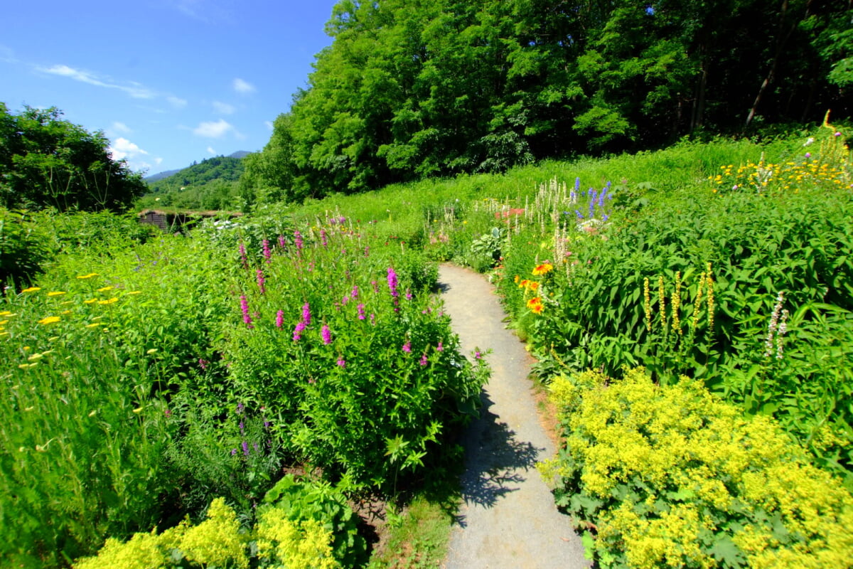 風のガーデンの写真4