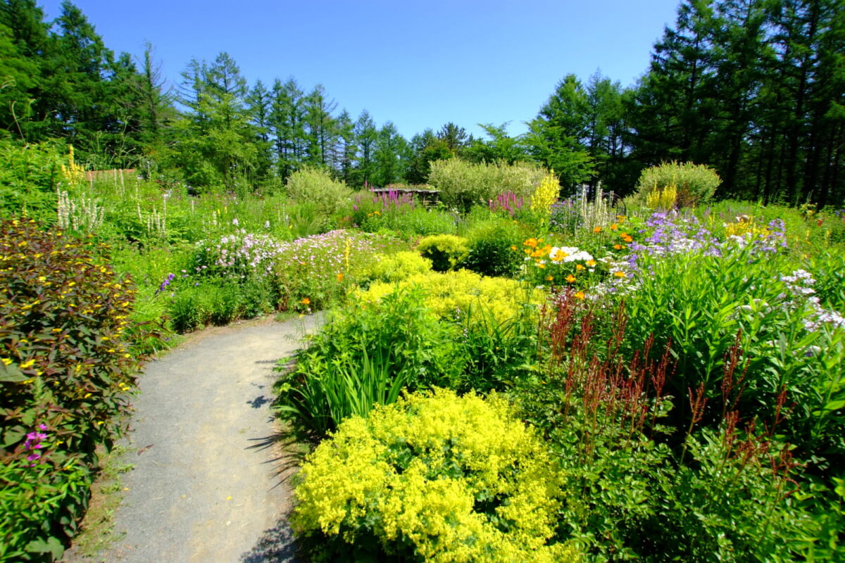 風のガーデンの写真6