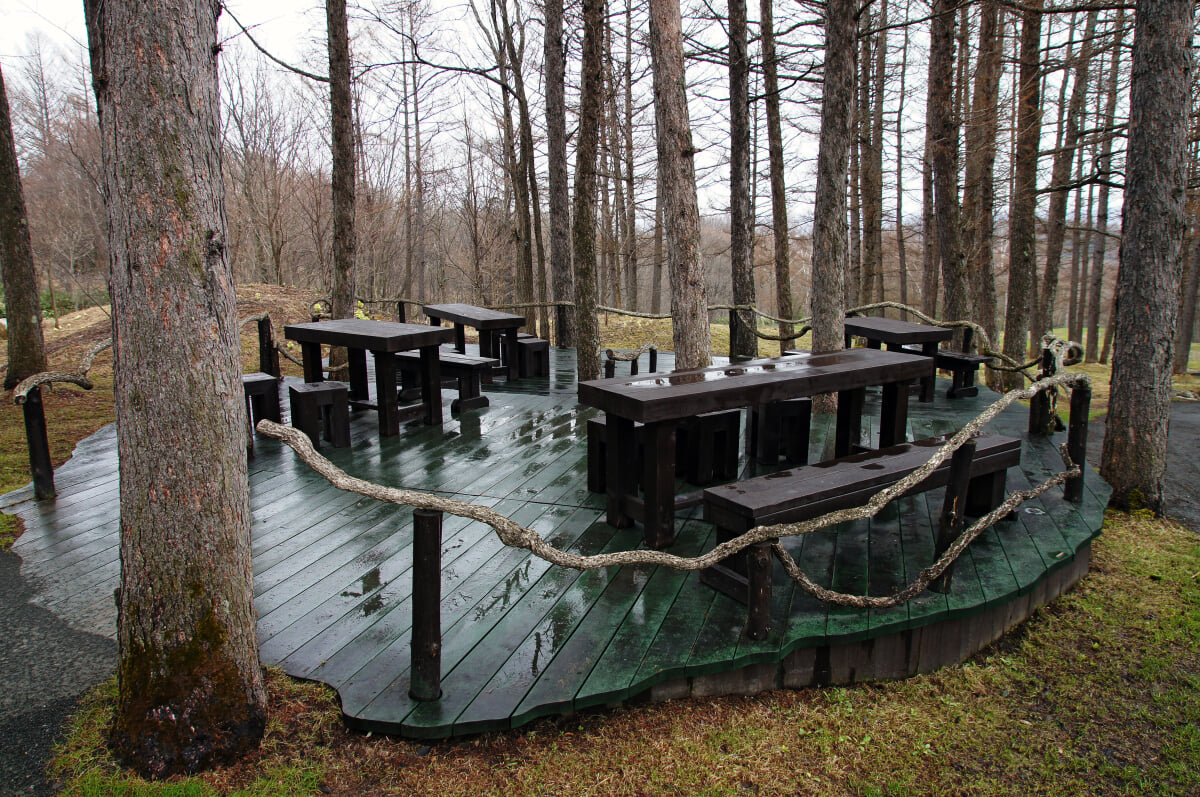 風のガーデンの写真12