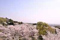飯山白山森林公園
