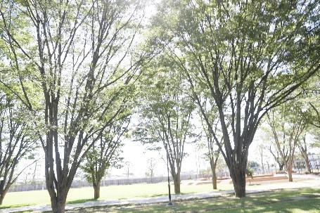 南町田グランベリーパークの写真2