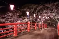 小見川城山公園