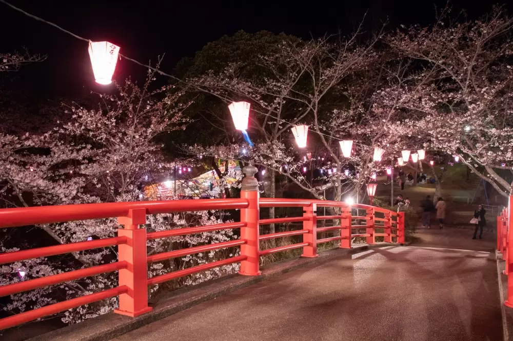 小見川城山公園の写真1