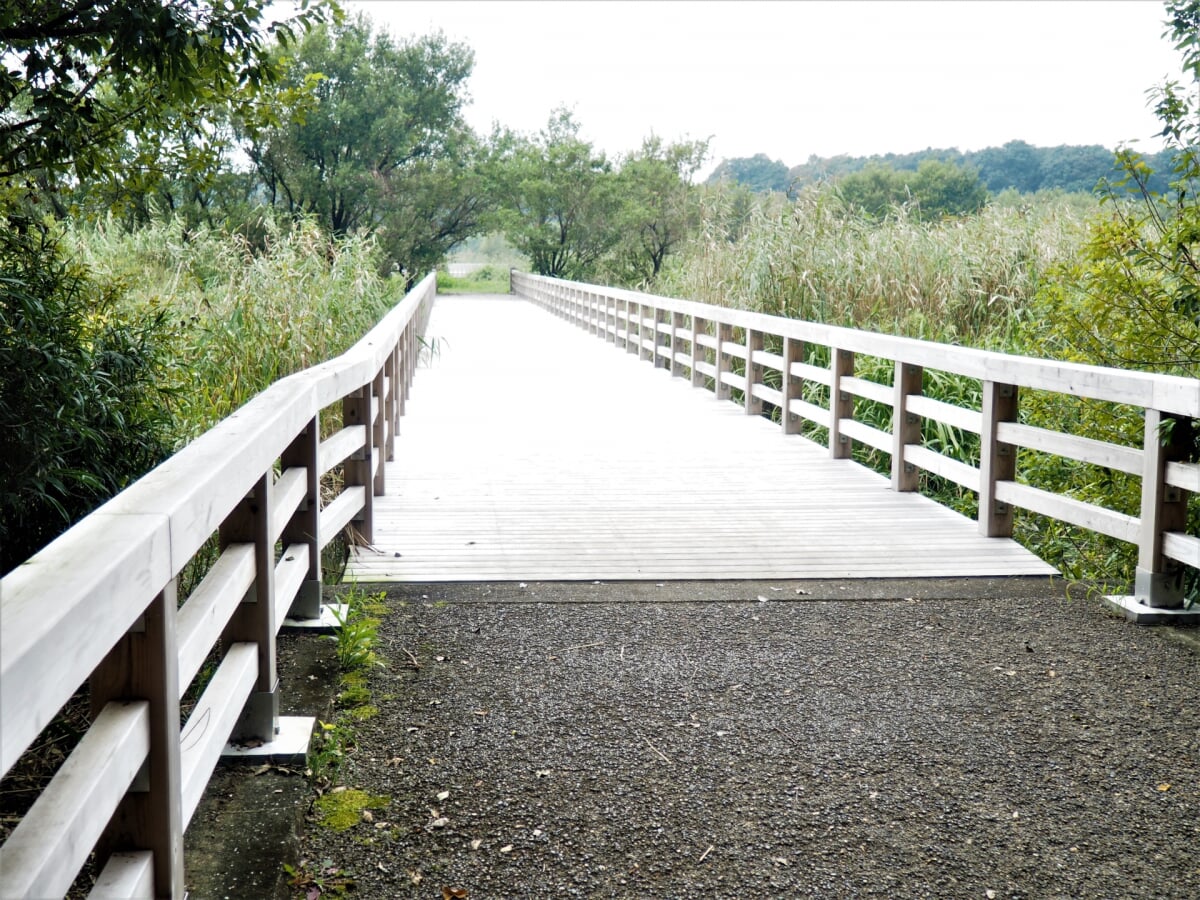 水海道あすなろの里の写真1