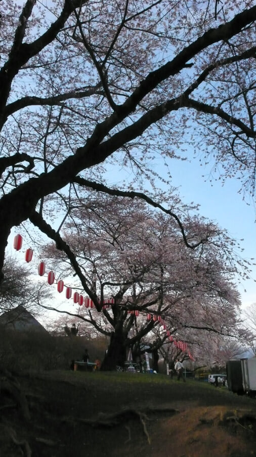 沼田公園の写真2