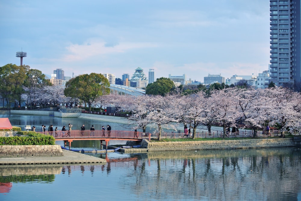 毛馬桜之宮公園の写真2