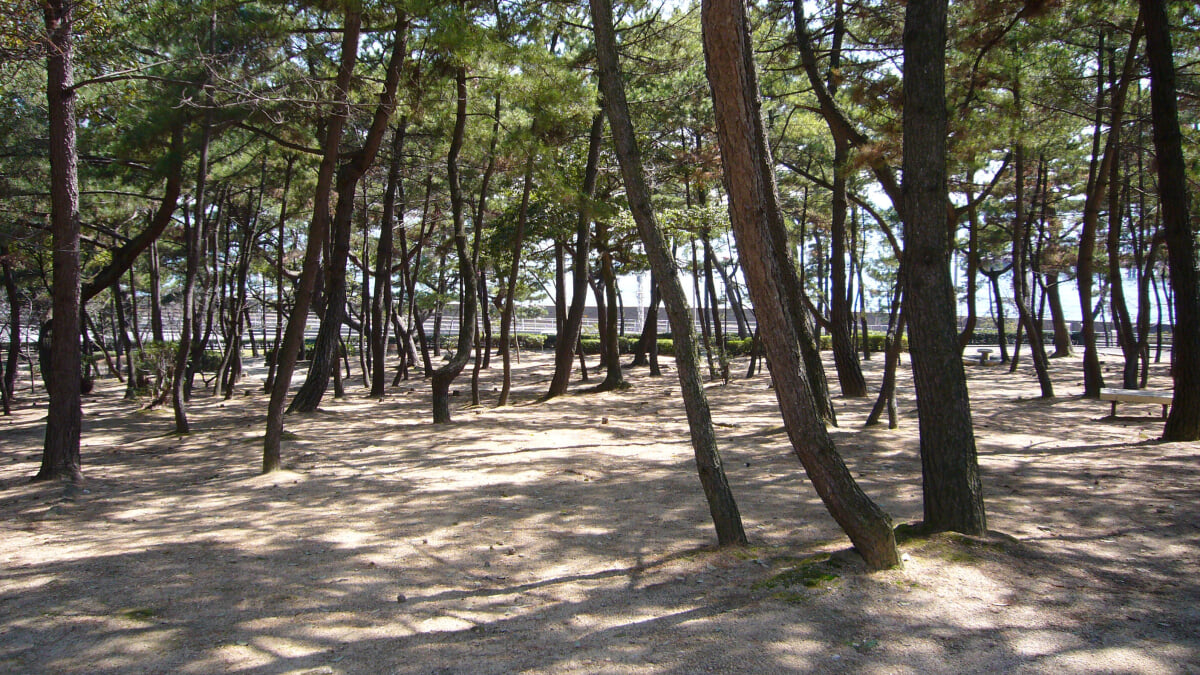 須磨浦公園の写真5