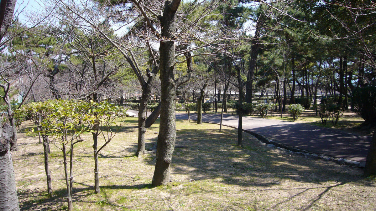 須磨浦公園の写真1