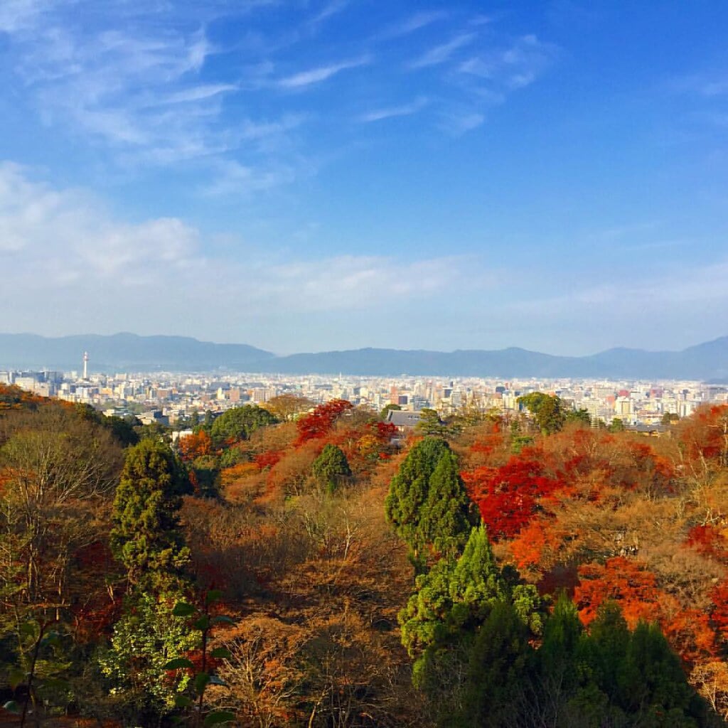 音羽山 清水寺の写真5