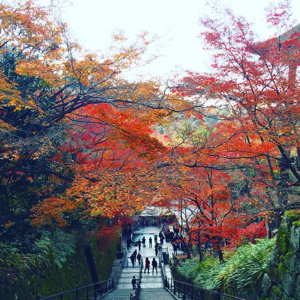 音羽山 清水寺の写真6