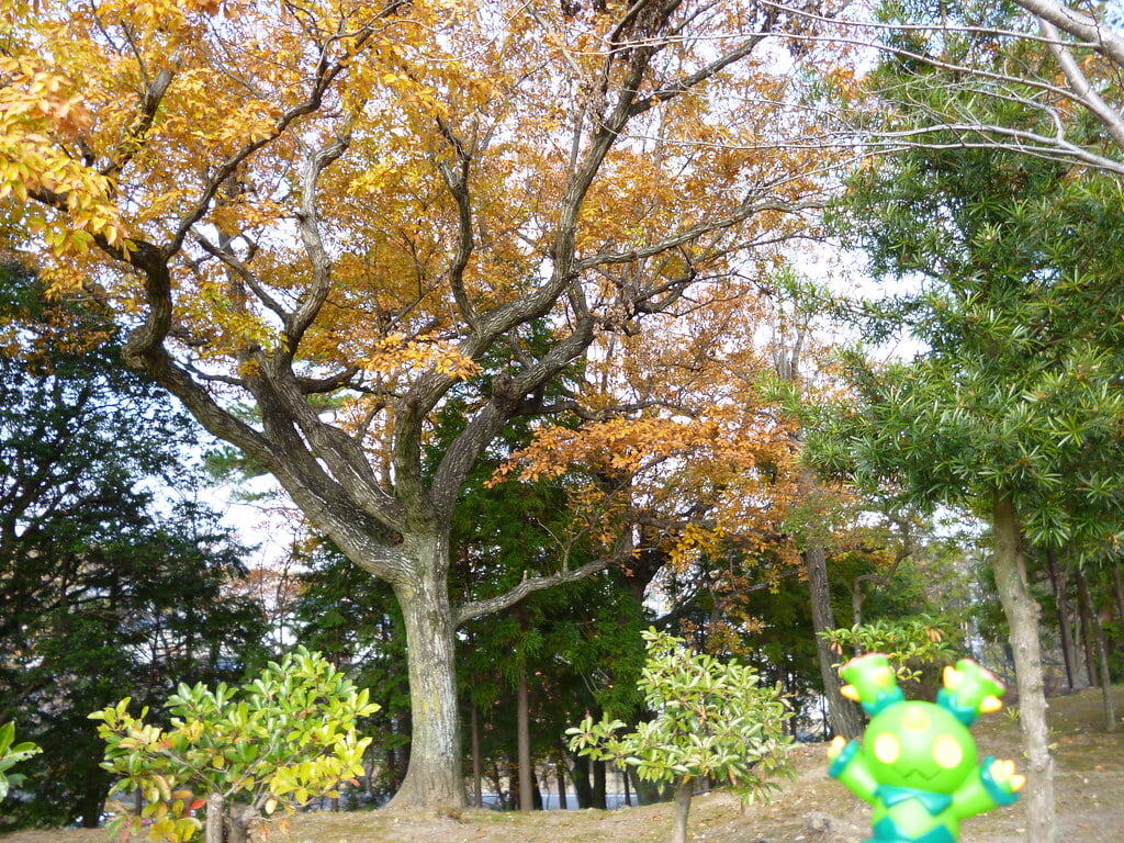 津偕楽公園の写真5