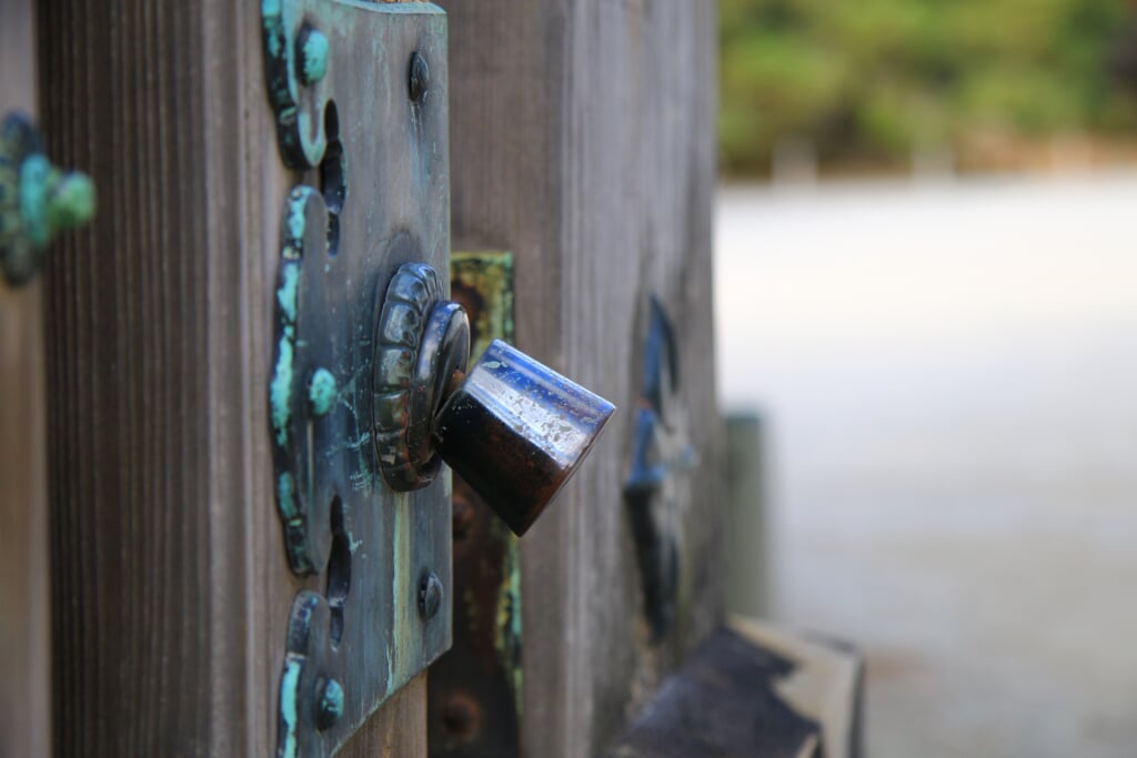 元離宮 二条城の写真9