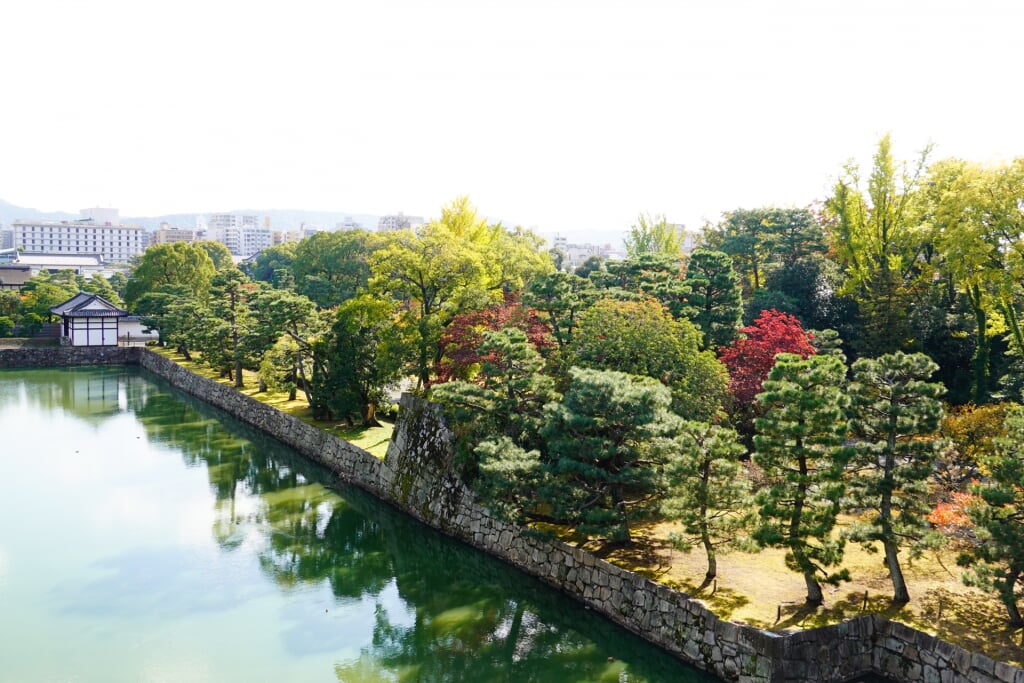 元離宮 二条城の写真18