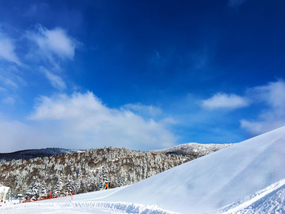 キロロスノーワールド・キロロレンタルの写真2