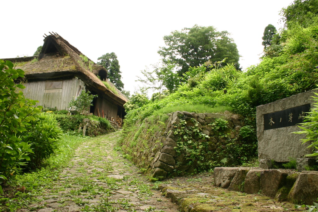 木ノ芽峠の写真1