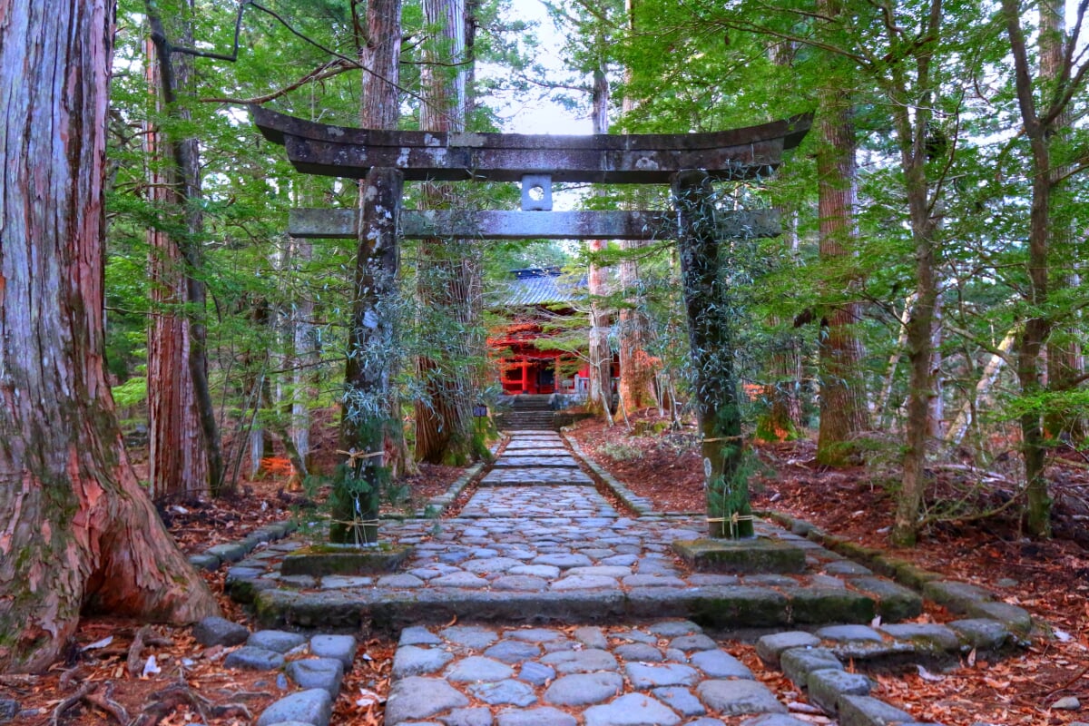 滝尾神社の写真2