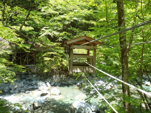 奥祖谷二重かずら橋・野猿の写真2