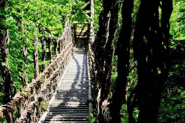 奥祖谷二重かずら橋・野猿の写真3