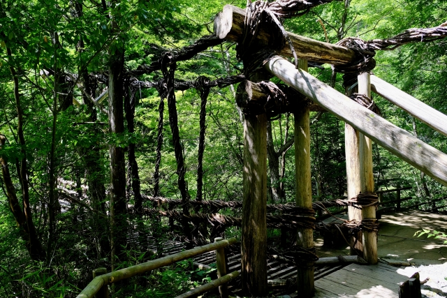 奥祖谷二重かずら橋・野猿の写真4
