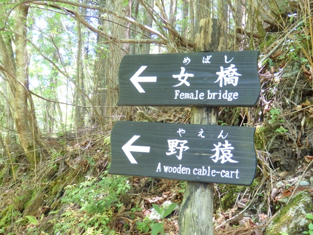 奥祖谷二重かずら橋・野猿の写真5