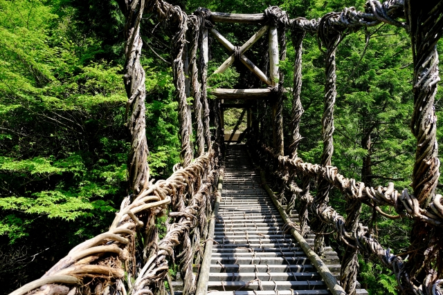 奥祖谷二重かずら橋・野猿の写真6