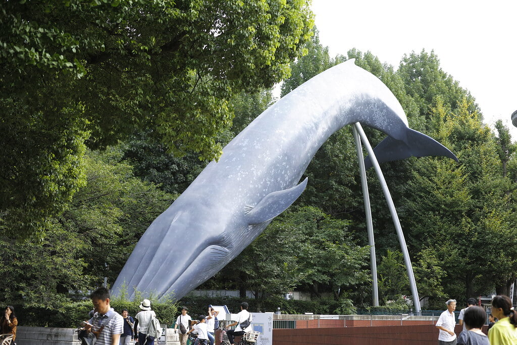 国立科学博物館の写真2