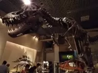 国立科学博物館