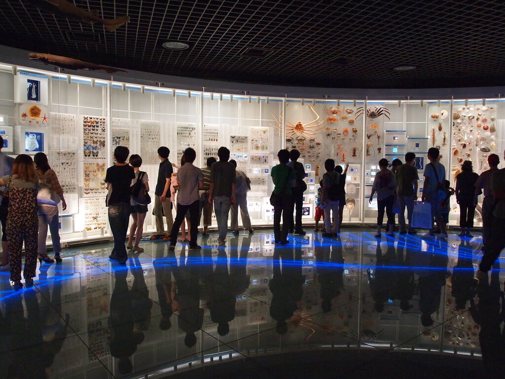 国立科学博物館の写真7